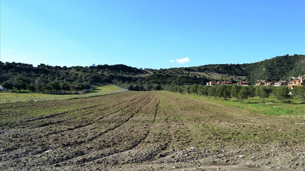 Land-/Forstwirtschaft zum Kauf 1.800.000 € 15.000 m² Grundstück Chalkidiki