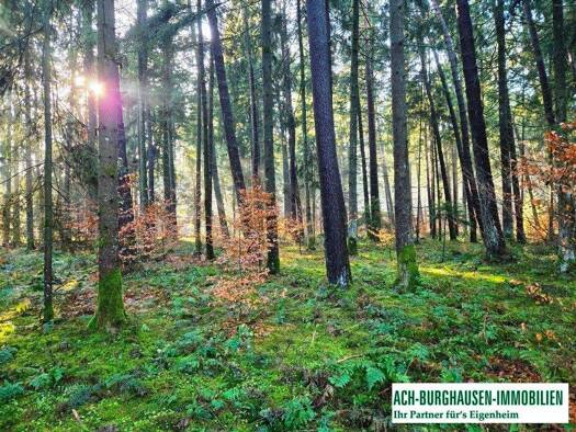 Grundstück zum Kauf 7.590 m² Grundstück Barsdorf Überackern 5122