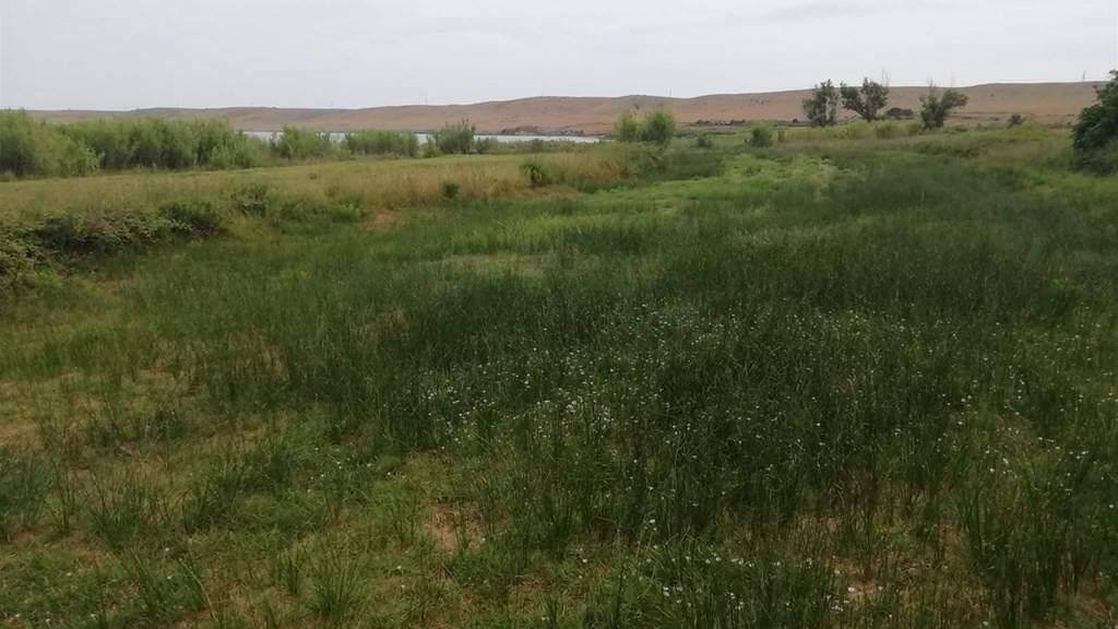 Land-/Forstwirtschaft zum Kauf 75.000 € Povljana