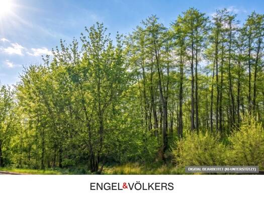 Grundstück zum Kauf 295.000 € 1.260 m² Grundstück Mühlenbeck Mühlenbecker Land 16567