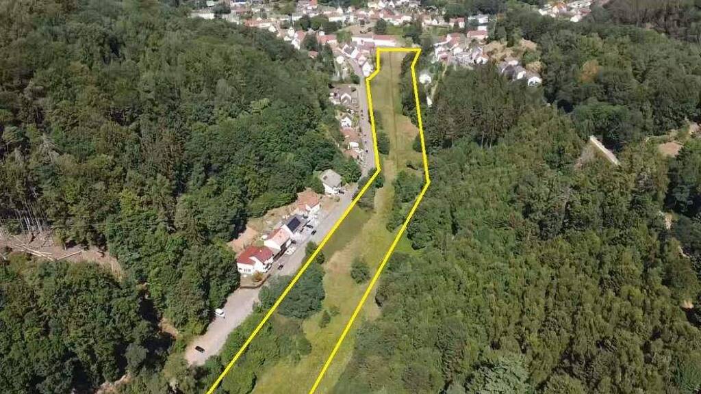 Grundstück zum Kauf 99.000 € 23.337 m² Grundstück Erlenbrunn Pirmasens 66955