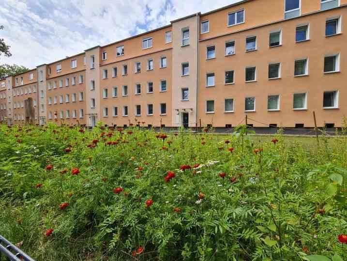 Wohnung zur Miete 651,13 € 3 Zimmer 52,1 m²<br/>Wohnfläche 1.<br/>Geschoss 21.10.2024<br/>Verfügbarkeit Hospitalstraße 29 Benrath Düsseldorf 40597