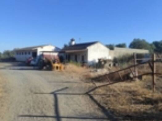 Reiterhof zum Kauf provisionsfrei 200.000 € 120 m² 30.000 m² Grundstück San Juan del Puerto 21610