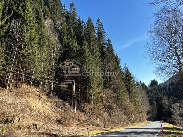 Forstwirtschaft zum Kauf 9.000 € 5.672 m² Grundstück Hüttenberg 9375