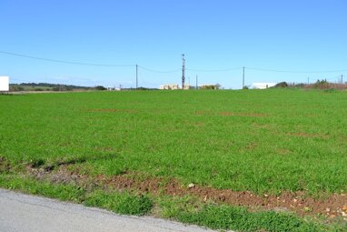 Land-/Forstwirtschaft zum Kauf 260.000 € 6.700 m² Grundstück Chalkidiki