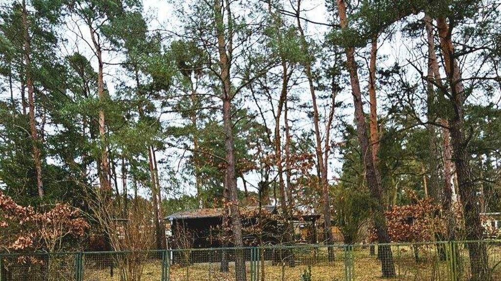 Grundstück zum Kauf 169.000 € 1.050 m² Grundstück Klausdorf Am Mellensee 15838