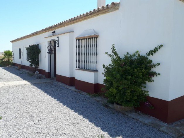 Einfamilienhaus zum Kauf 208.000 € 5 Zimmer 225 m²<br/>Wohnfläche 25.000 m²<br/>Grundstück Montellano (Seveilla) Spanien 41770