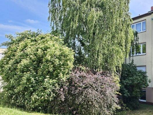 Wohnung zum Kauf 230.000 € 4 Zimmer 88 m² EG Landau Landau in der Pfalz 76829