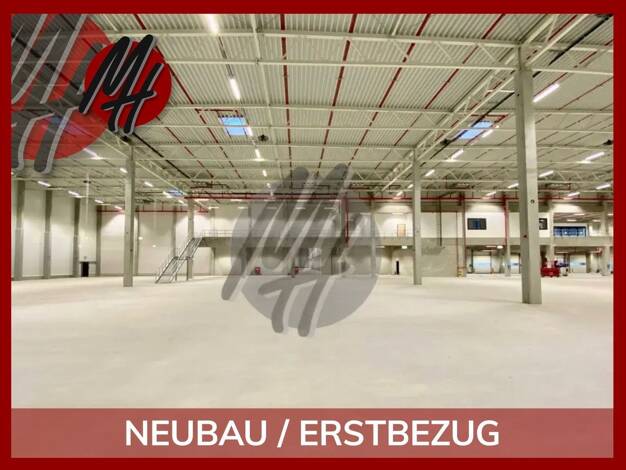 Halle/Industriefläche zur Miete 7.800 m² Lagerfläche Stadt Ibbenbüren 49479