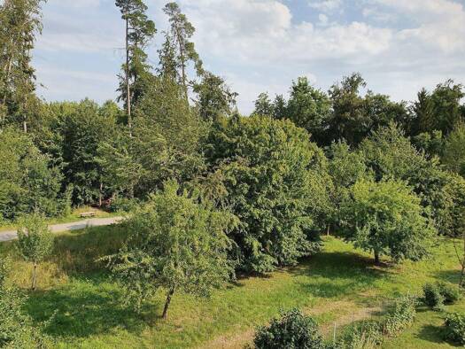 Wohnung zur Miete 1.250 € 4 Zimmer 104 m² 1. Geschoss frei ab 01.05.2026 Kirschbaumweg 14 Waldshut Waldshut-Tiengen 79761