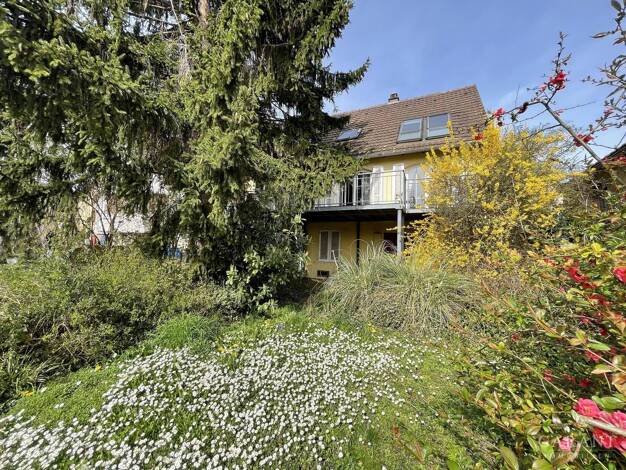 Einfamilienhaus zum Kauf 439.000 € 5 Zimmer 160 m² 358 m² Grundstück Kirchheim am Neckar 74366