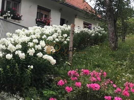 Doppelhaushälfte zum Kauf 60.000 € 3 Zimmer 600 m² Grundstück Skrad 51311