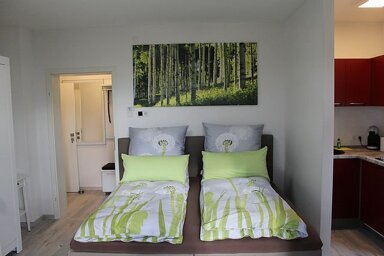 Apartment zur Miete 480 € 1 Zimmer 37 m² 1. Geschoss frei ab sofort Stadeln 174 Fürth 90765