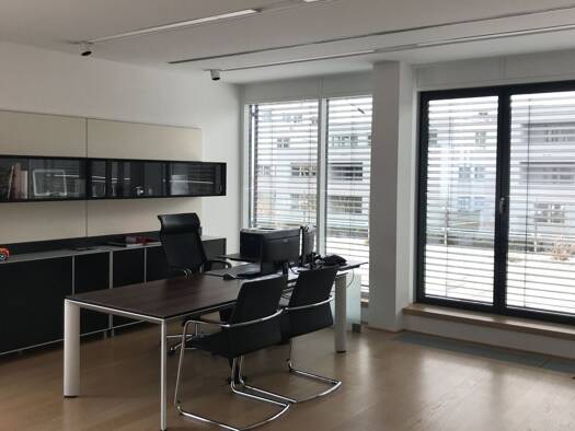Bürofläche zur Miete 13,50 € 6 Zimmer 251 m² Bürofläche Puch bei Hallein 5412