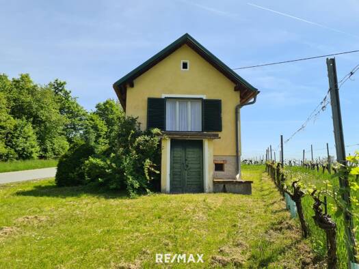 Weingut zum Kauf 95.000 € 2.644 m² Grundstück Eisenberg an der Pinka 7474