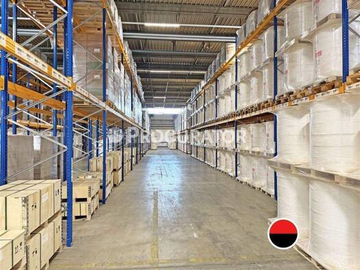 Lagerhalle zur Miete 9.800 m² Lagerfläche teilbar ab 4.400 m² Billbrook Hamburg 22113