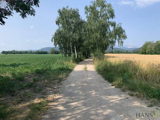 Land-/Forstwirtschaft zum Kauf 1.990.000 € 314.000 m² Grundstück Willendorf 2732