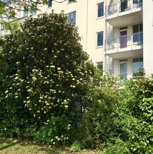 Maisonette zur Miete 1.950 € 3 Zimmer 90 m²<br/>Wohnfläche EG<br/>Geschoss Parkstadt München 81925