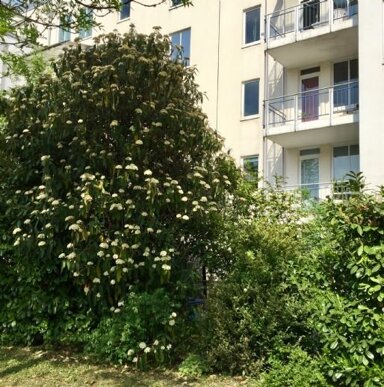 Maisonette zur Miete 1.950 € 3 Zimmer 90 m² EG Parkstadt München 81925