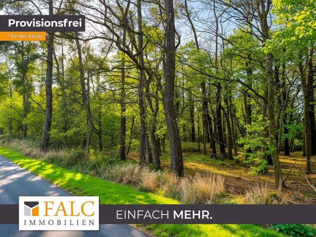 Sonstiges zum Kauf provisionsfrei als Kapitalanlage geeignet 85.000 € 30.282 m² Grundstück Wischuer Biendorf 18230