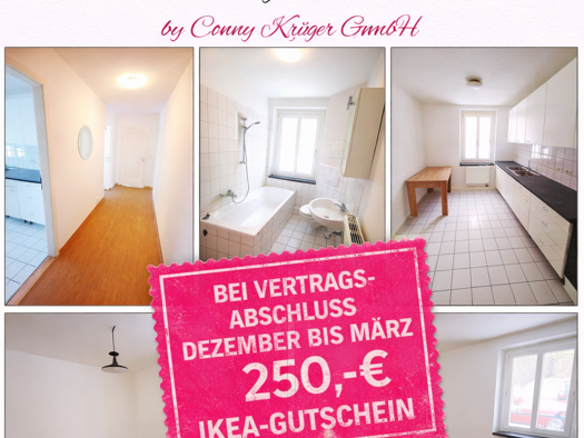Wohnung zur Miete 310 € 2 Zimmer 51,6 m² EG frei ab sofort Zschopauer Straße 133 Lutherviertel Chemnitz 09126