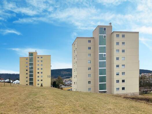Wohnung zum Kauf provisionsfrei 155.000 € 3 Zimmer 74,6 m² EG Schillerstr. 19 Wehingen 78564