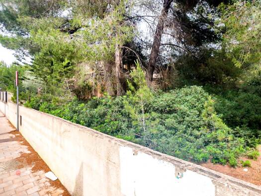 Grundstück zum Kauf 244.000 € 730 m² Grundstück Santa Margalida