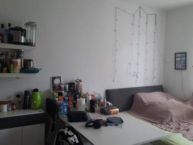 Wohnung zur Miete 590 € 1 Zimmer 20 m² Herschelstraße 33 Mitte Hannover 30159