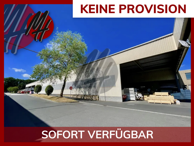 Halle/Industriefläche zur Miete 5,80 € 2.900 m² Lagerfläche Fechenheim Frankfurt am Main 60386