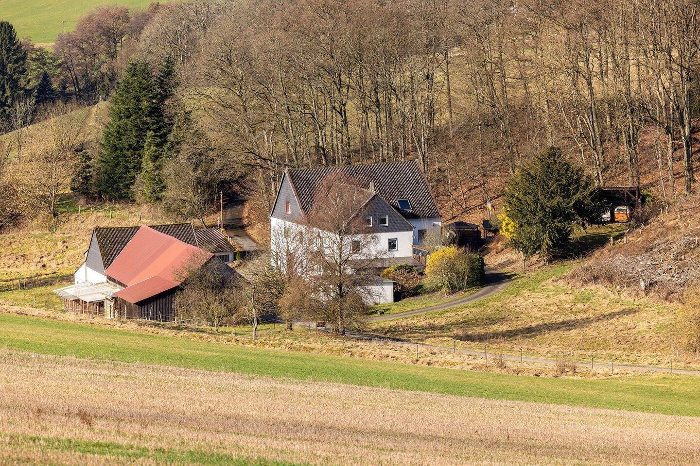 Land-/Forstwirtschaft zum Kauf - Ansicht 5