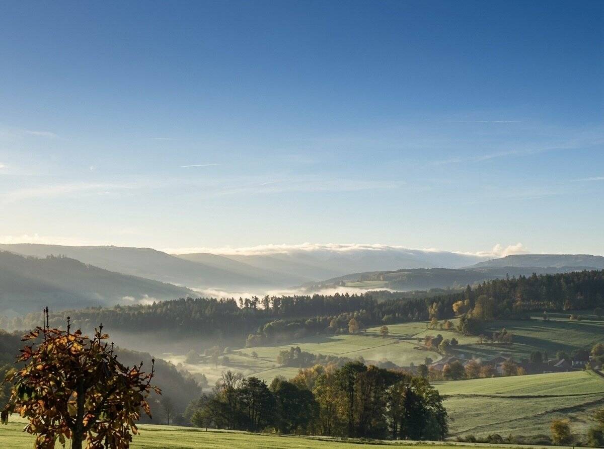 Einfamilienhaus zum Kauf - Mehr