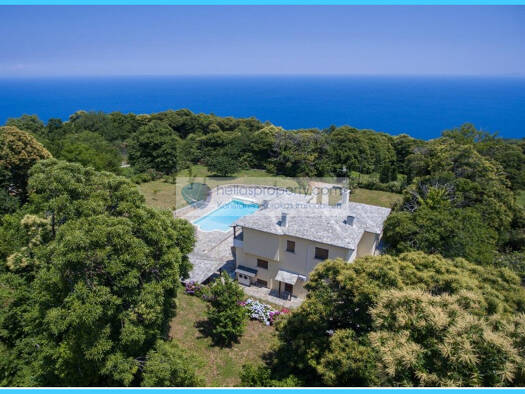 Villa zum Kauf 850.000 € 3 Zimmer 350 m² 3.650 m² Grundstück Zagora - Mouresi Municipality 37012