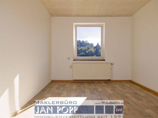 Wohnung zur Miete 275 € 2 Zimmer 50 m² 2. Geschoss Feldschlößchenstraße 51 Greiz Greiz 07973