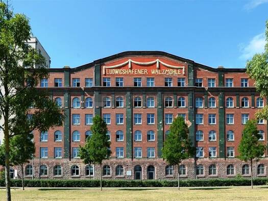 Bürofläche zur Miete provisionsfrei 10 € 540 m² Bürofläche teilbar ab 540 m² Süd Ludwigshafen 67061