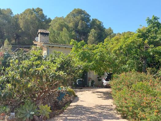 Landhaus zum Kauf 465.000 € 5 Zimmer 170 m² 20.000 m² Grundstück frei ab sofort Callosa 03510