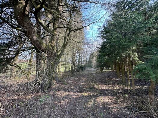 Land-/Forstwirtschaft zum Kauf 23.000 € 2.691 m² Grundstück Babensham Babensham 83547