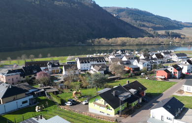 Haus zum Kauf provisionsfrei 598.000 € 12 Zimmer 375 m² 1.070 m² Grundstück Mehring Mehring 54346