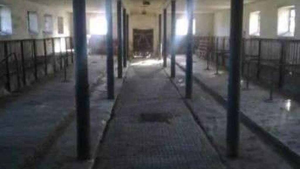 Bauernhaus zum Kauf 200.000 € 16 Zimmer 300 m² 7.548 m² Grundstück Kohlwesa Hochkirch 02627