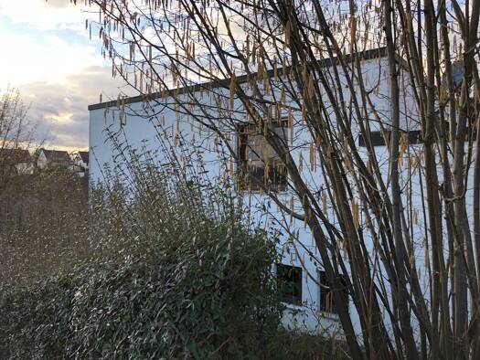 Doppelhaushälfte zum Kauf provisionsfrei 569.000 € 5 Zimmer 115 m² 324 m² Grundstück Oberesslingen Esslingen am Neckar 73730