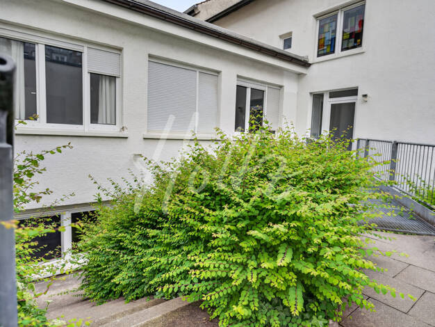 Wohnung zum Kauf 299.000 € 2 Zimmer 63,9 m² 1. Geschoss Katharinenstraße 5 Neuburg Mitte 79098