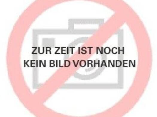 Ladenfläche zur Miete provisionsfrei 1.750 € 4 Zimmer 100 m² Verkaufsfläche teilbar ab 50 m² Grassau Grassau 83224