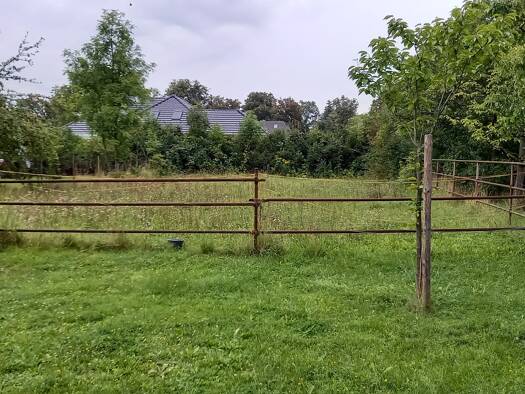 Grundstück zum Kauf 240.000 € 1.100 m² Grundstück Brieselang Brieselang 14656