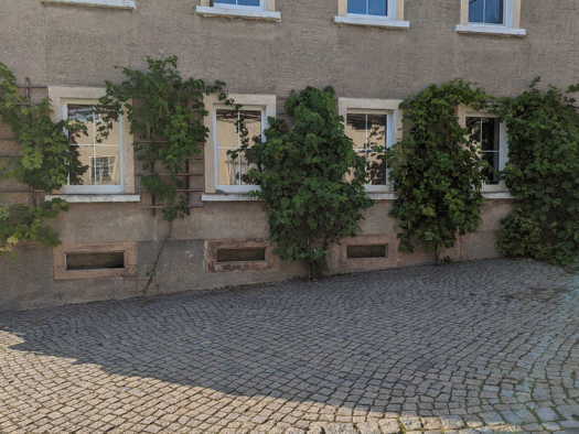 Wohnung zur Miete 850 € 3,5 Zimmer 115 m² Geschoss EG/2 frei ab 01.07.2026 Frankenthal 01909