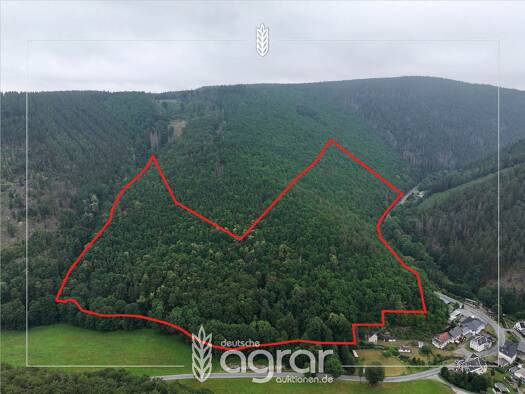 Land-/Forstwirtschaft zum Kauf 149.900 € 147.637 m² Grundstück Döschnitz Döschnitz 07429
