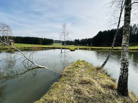 Grundstück zum Kauf 129.000 € 7.076 m² Grundstück Freistadt 4240