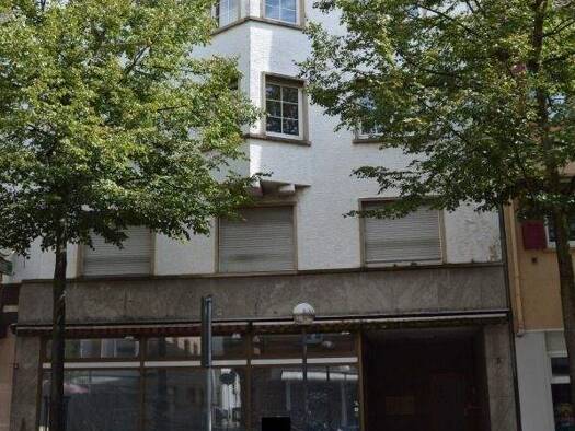 Mehrfamilienhaus zum Kauf 399.000 € 16 Zimmer 416 m² 919 m² Grundstück Zweibrücken 66482