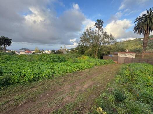 Acker-/Waldstück zum Kauf 66.420 € Arucas 35412