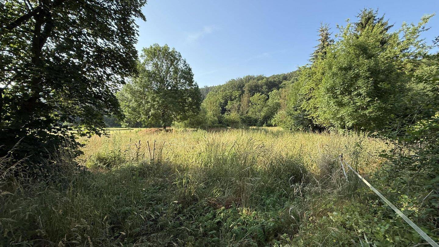 Bauernhaus zum Kauf - Ansicht 5