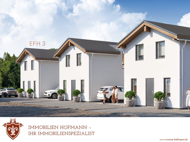 Einfamilienhaus zum Kauf - Erstbezug 479.000 € 4 Zimmer 112,5 m² 318 m² Grundstück Dornwang Moosthenning 84164