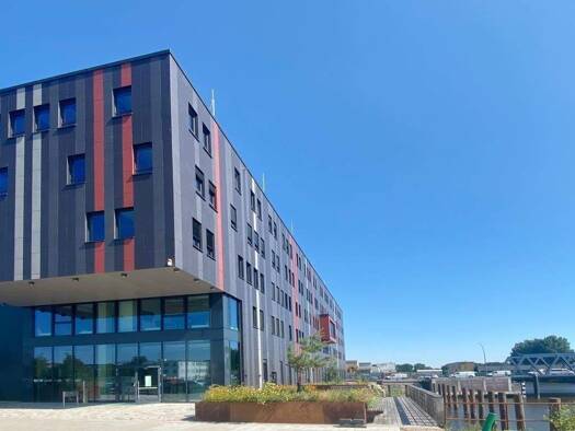 Bürofläche zur Miete provisionsfrei 15 € 724 m² Bürofläche teilbar ab 724 m² Veddel Hamburg 20539